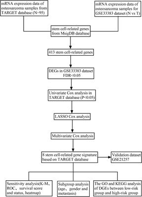 A Novel Overall Survival Prediction Signature Based on Cancer Stem Cell-Related Genes in Osteosarcoma